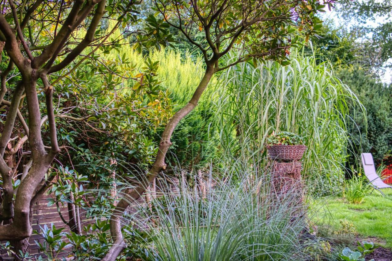 Schwanennest Am Haddorfer See * Top Ausstattung Wettringen  Exteriér fotografie